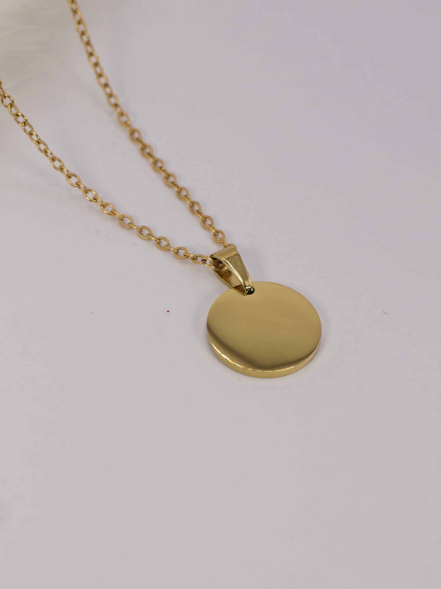 Round Disk Necklace