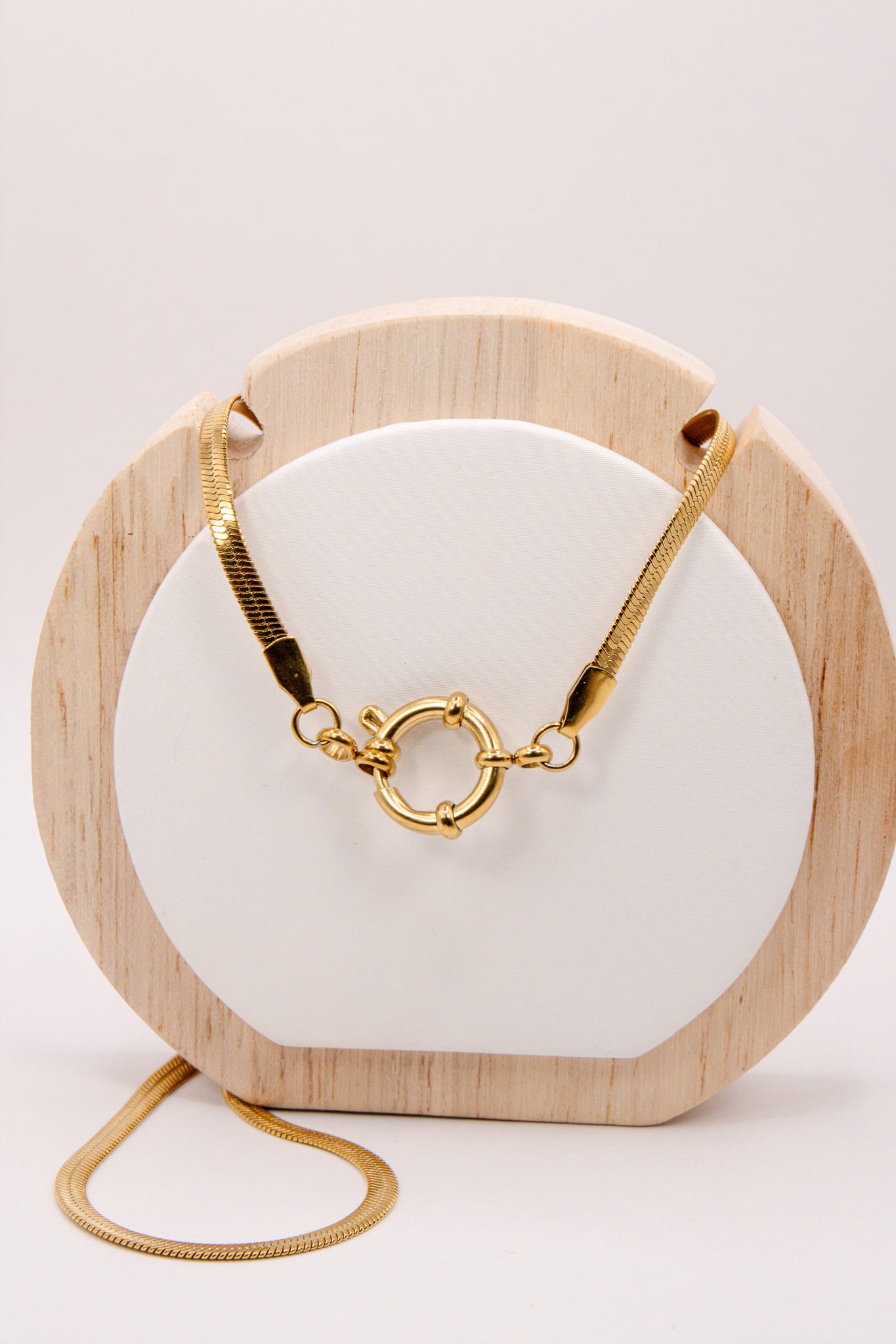 Vintage Clasp Snake Chain Necklace