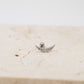 Sparrow Flat Back Stud